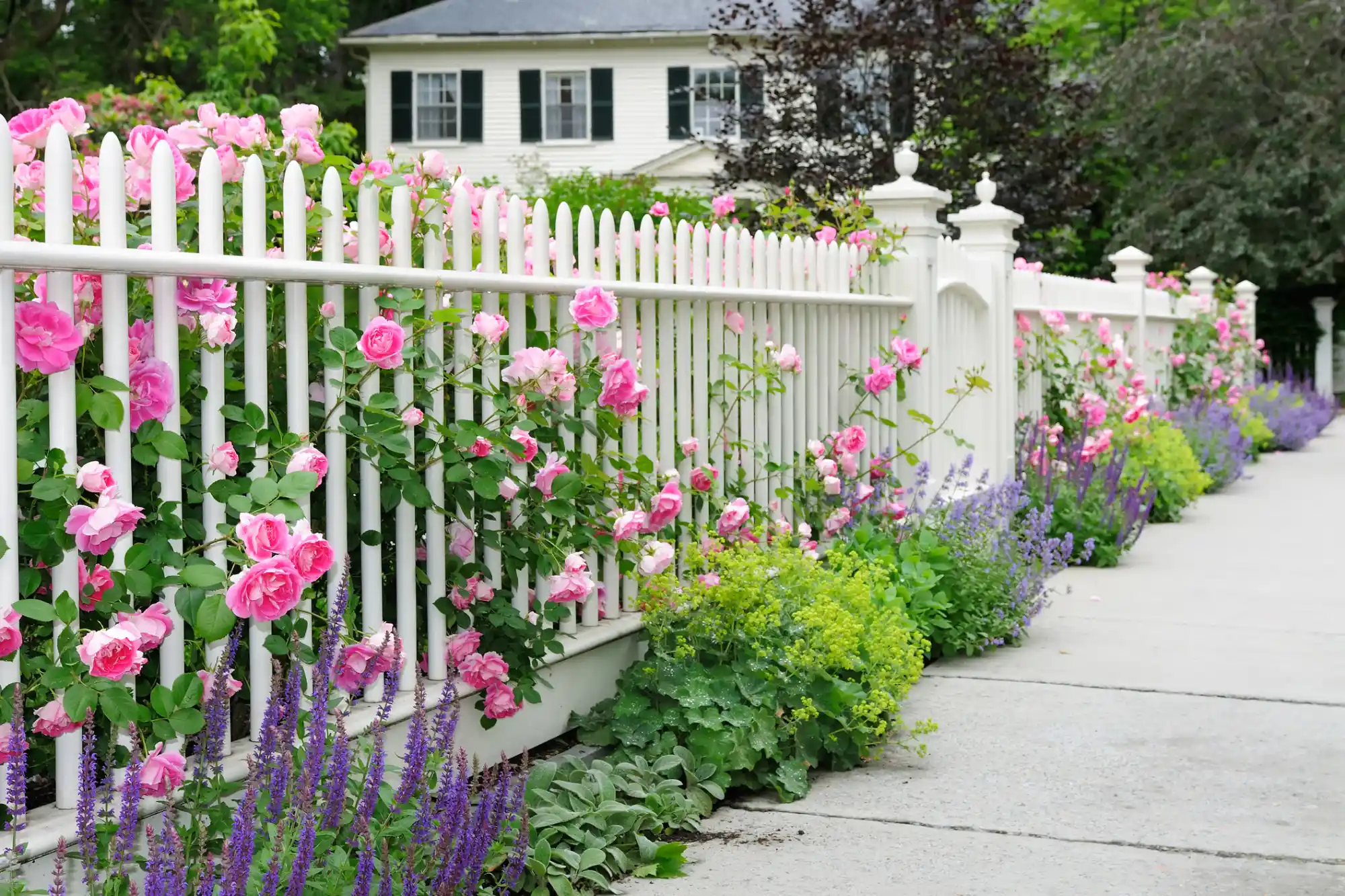 Affordable Wood Fences