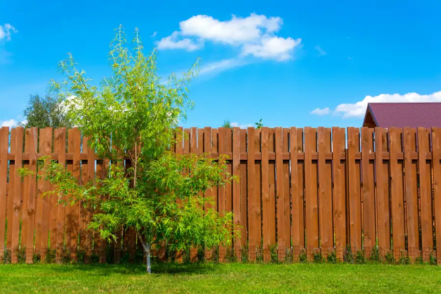 Wood Fences